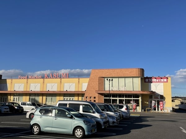 その他(カスミまで350m)