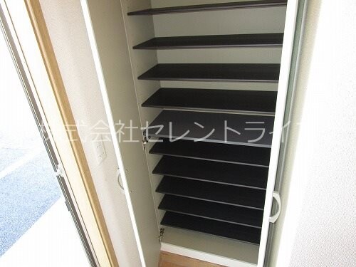 物件内観写真23　(シューズボックス内部)