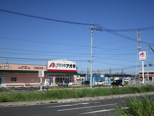 ｸｽﾘのｱｵｷ つくばみどりの店