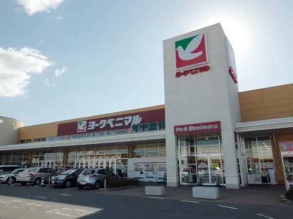 その他(ヨークベニマルまで1000m)