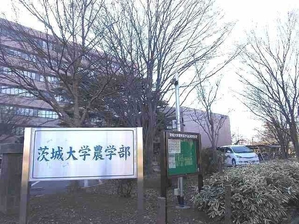 その他(茨城大学農学部まで1300m)
