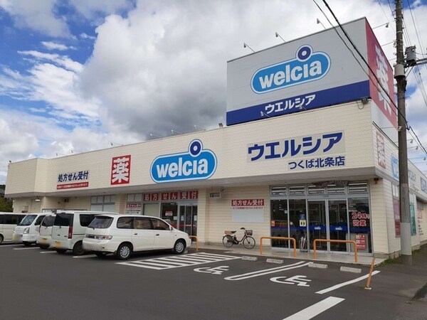 その他(ウエルシアつくば北条店まで1000m)