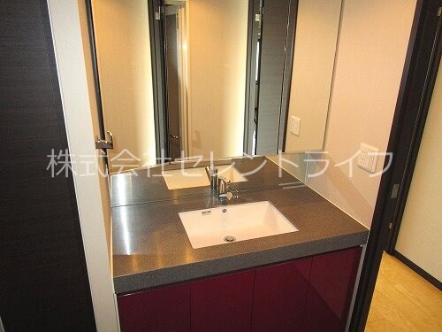 物件内観写真28　(シャワー付き洗面化粧台)