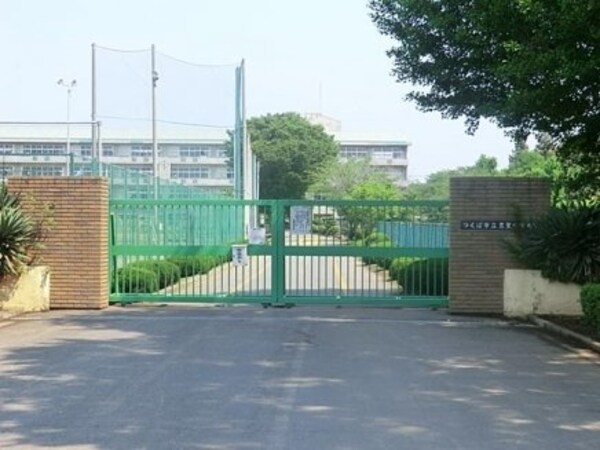 その他(つくば市立豊里中学校まで1，225ｍ)