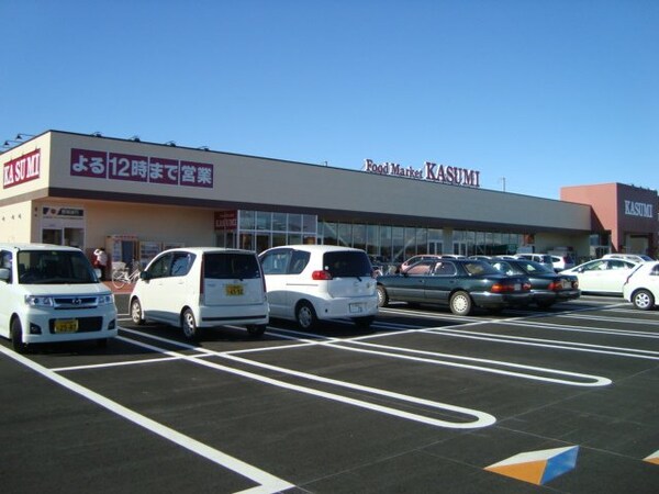 その他(カスミ万博記念公園駅前店まで1，260ｍ)