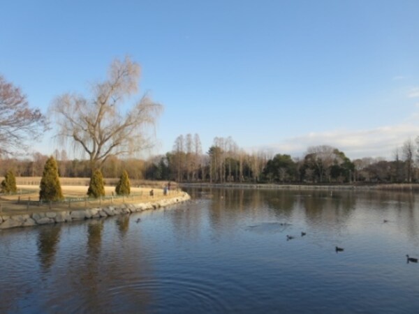 その他(洞峰公園まで400m)