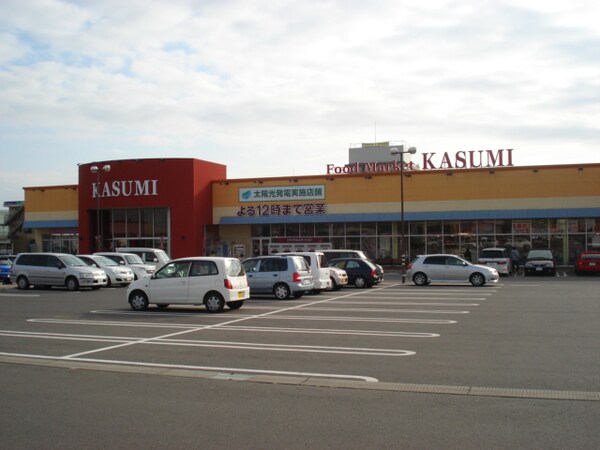 その他(カスミみどりの駅前店まで599ｍ)