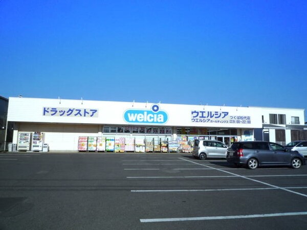 その他(ウエルシアつくば松代店まで520m)