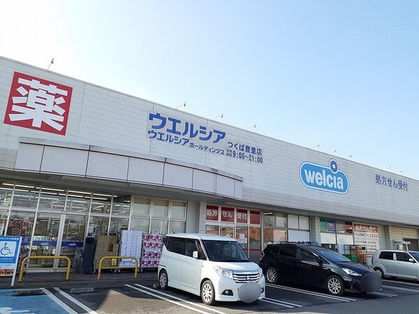 その他(ウエルシアつくば豊里店まで1750m)