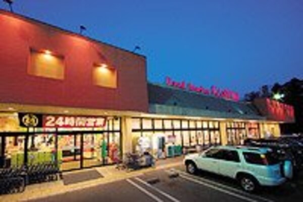 その他(カスミテクノパーク桜店まで1，628ｍ)