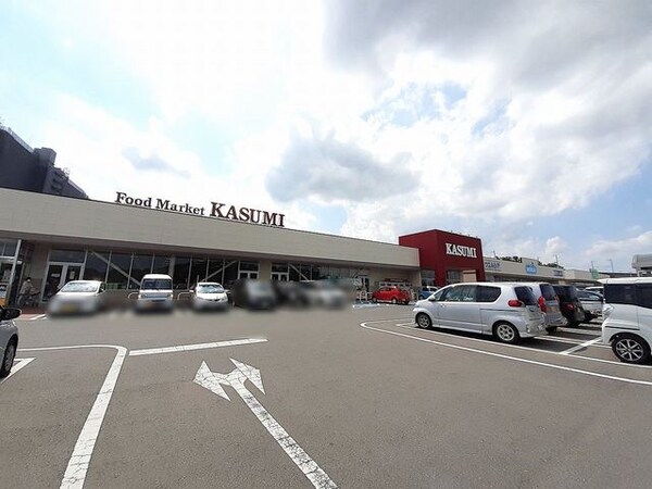 その他(カスミ万博記念公園駅前店まで1300m)