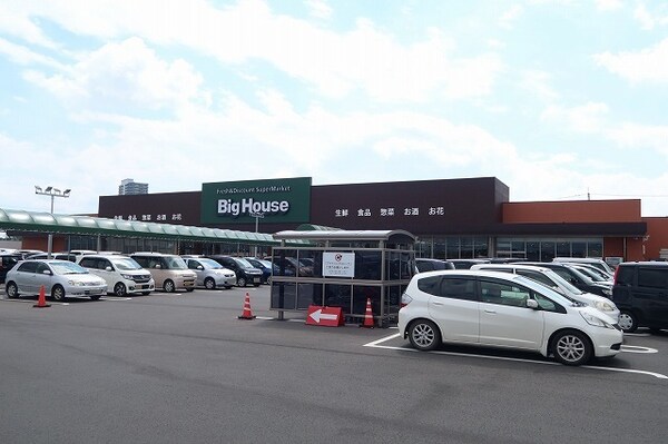 その他(ビッグハウスみどりの店まで1200m)