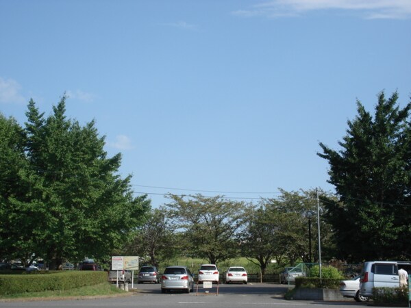 その他(乙戸沼公園まで1，596ｍ)