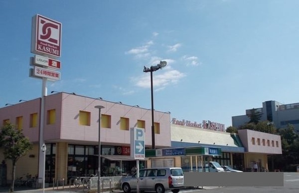 その他(カスミまで800m)