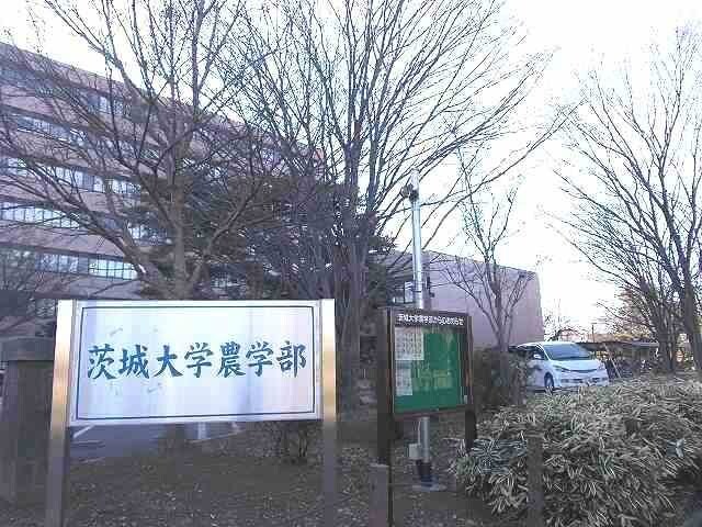 物件内観写真18　(茨城大学農学部まで1300m)