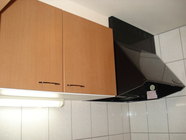 物件内観写真27　(キッチン収納)