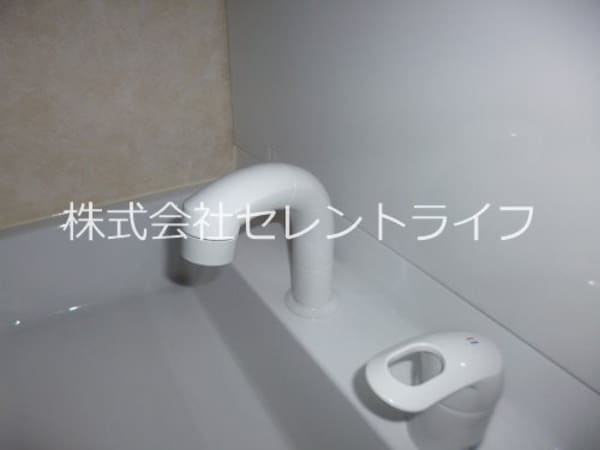 洗面所(シャンプードレッサーシャワーヘッド)