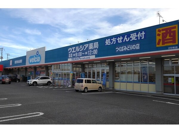 その他(ウエルシアみどりの店まで850m)