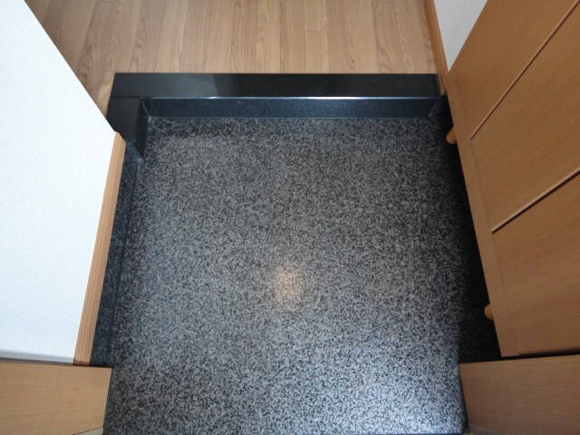 物件内観写真19　(玄関)