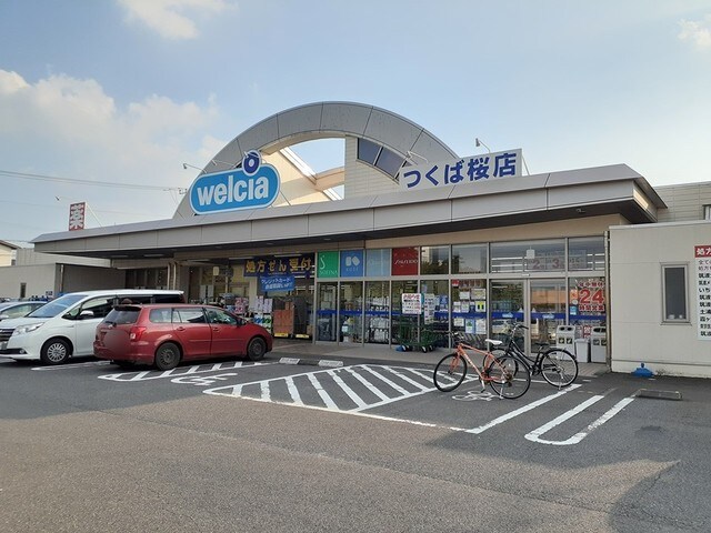 物件内観写真17　(ウエルシアつくば桜店まで450m)