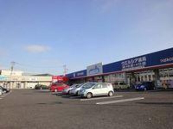 その他(ウエルシア薬局つくばみどりの店まで1，900ｍ)