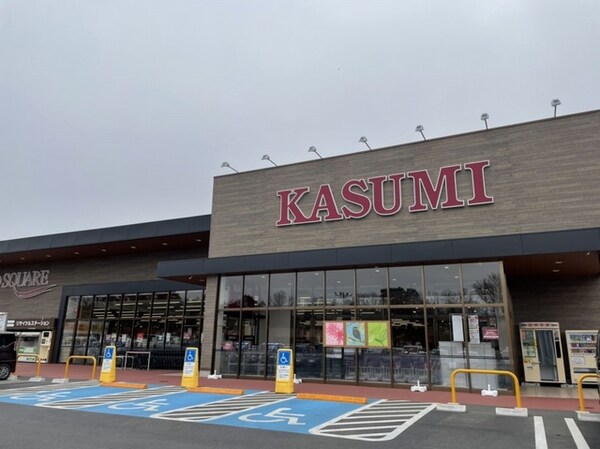 その他(カスミライフガーデンみどりの店まで500m)