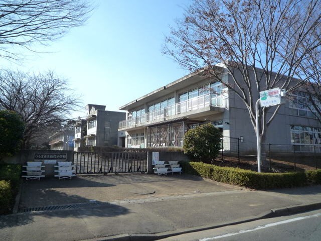 物件内観写真19　(松代小学校まで750m)
