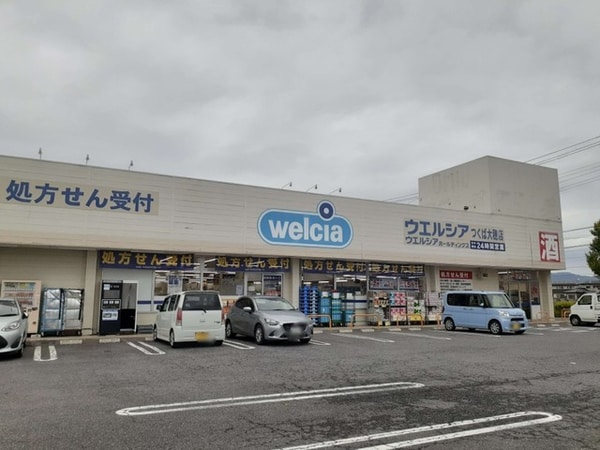 その他(ウエルシアつくば大穂店まで950m)