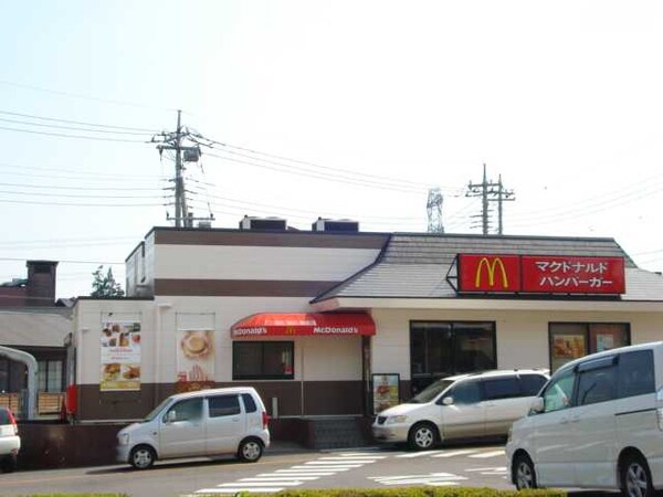 その他(マクドナルド294新守谷店まで1，150ｍ)