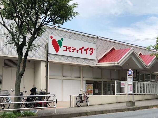 その他(コモディイイダ流山店まで706ｍ)