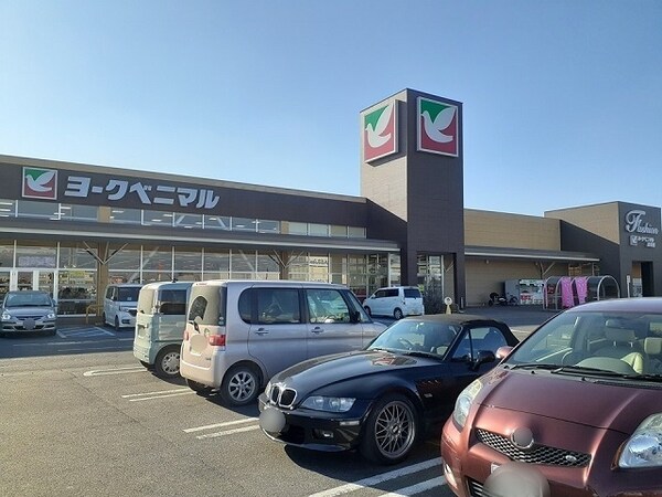 その他(ヨークベニマル坂東店まで1220m)