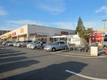 ﾔｵｺｰ 竜ヶ崎店