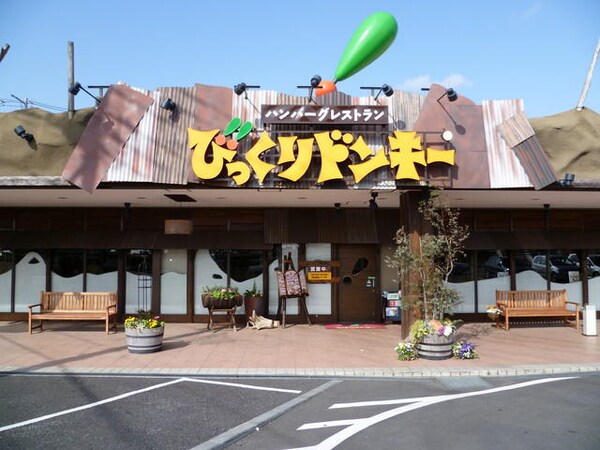 その他(びっくりドンキー竜ヶ崎店まで1，520ｍ)