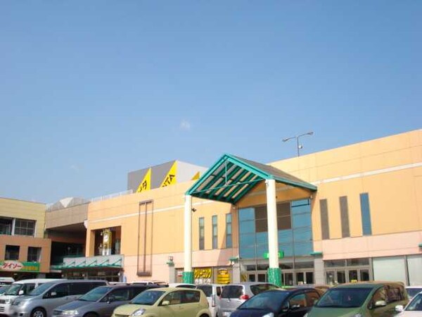 その他(アピタ守谷店まで907ｍ)