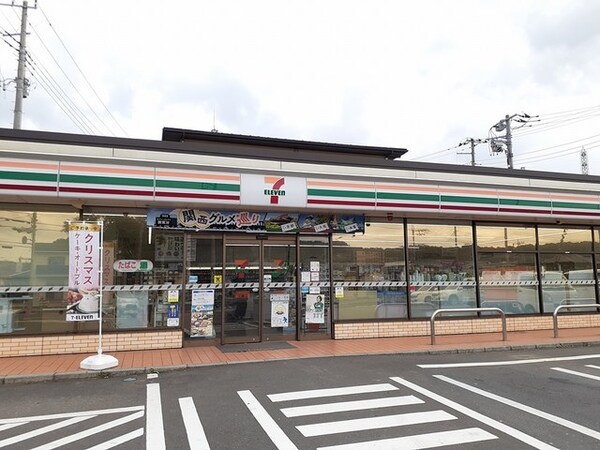 その他(セブンイレブン高柳駅西店まで250m)