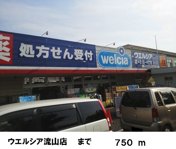 その他(ウェルシア流山店まで750m)