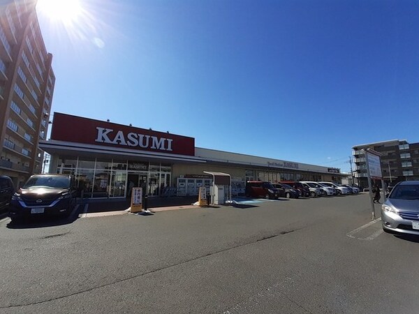 その他(カスミ柏たなか駅前店まで1000m)