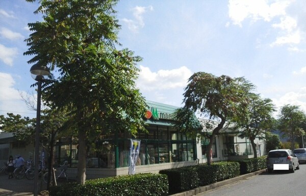 その他(マルエツ 小林店まで1000m)