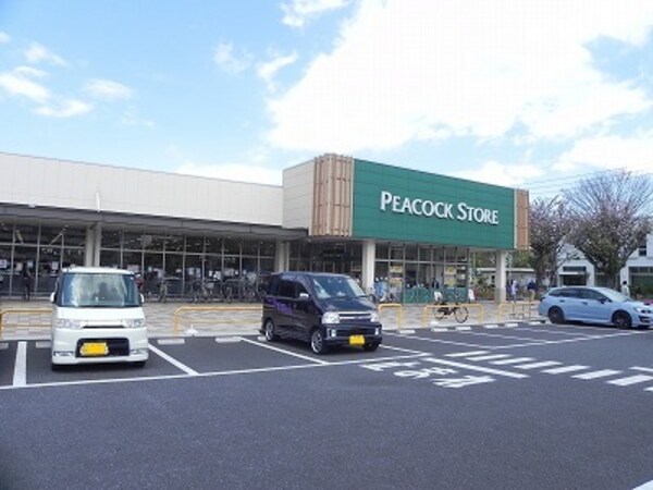 その他(ピーコックストア豊四季台店まで800m)