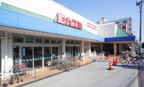その他(カスミまで1200m)