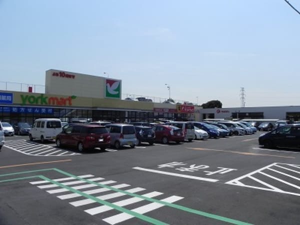 その他(ヨークマート花野井店まで600m)