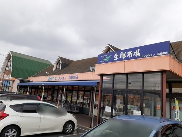 その他(セレクション　花野井店まで897m)