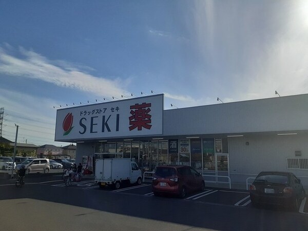 その他(ドラッグストア　セキ梅郷店まで550m)