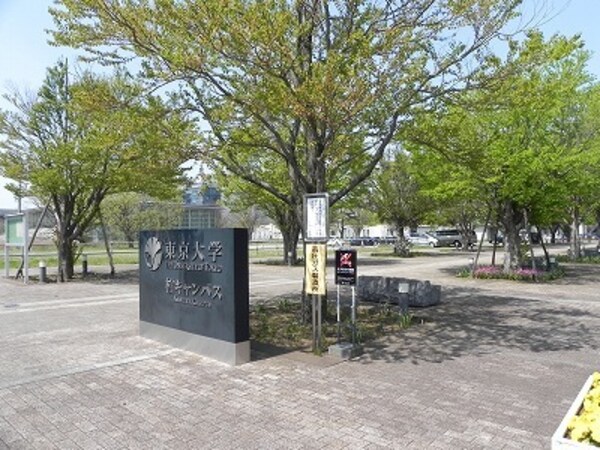 その他(東京大学柏キャンパスまで2000m)
