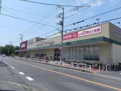 物件内観写真19　(カスミ柏千代田店まで800m)