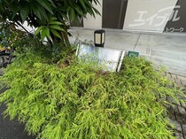 ベル・ドミール大桐の外観写真