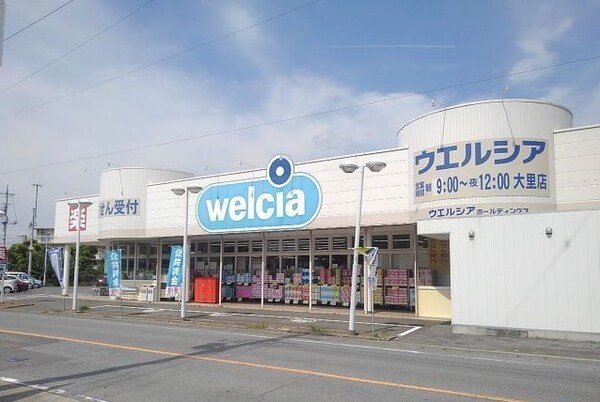 その他(ウエルシア大里店まで900m)