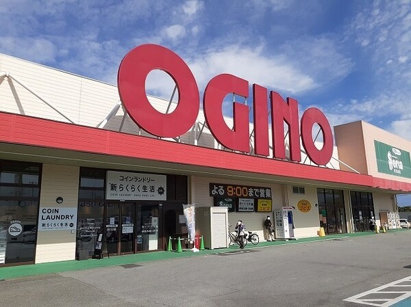 その他(オギノ田富店まで600m)