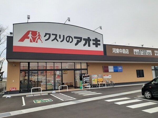 その他(クスリのアオキ河東中島店まで1100m)