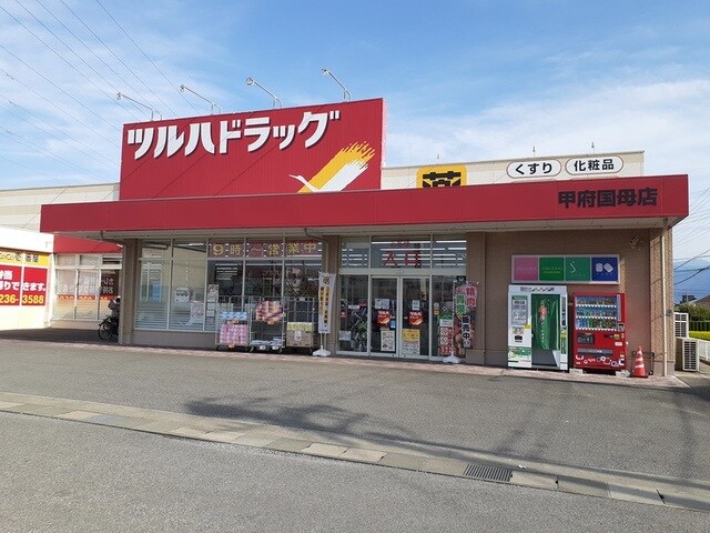 物件内観写真18　(ツルハドラッグ甲府国母店まで1300m)